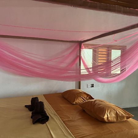 Peanut Farm Surf And Wild Resort - Arugambay アルガムベイ エクステリア 写真