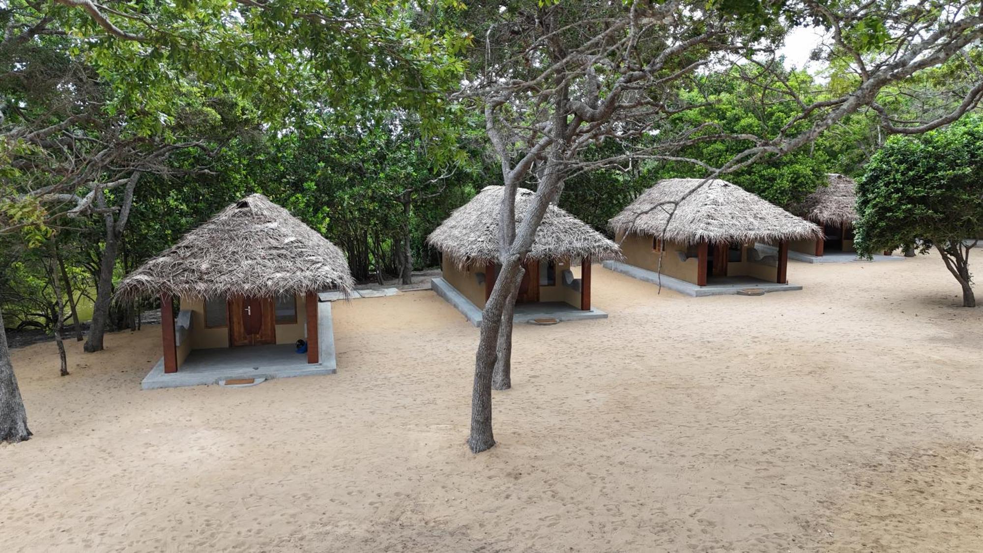 Peanut Farm Surf And Wild Resort - Arugambay アルガムベイ エクステリア 写真