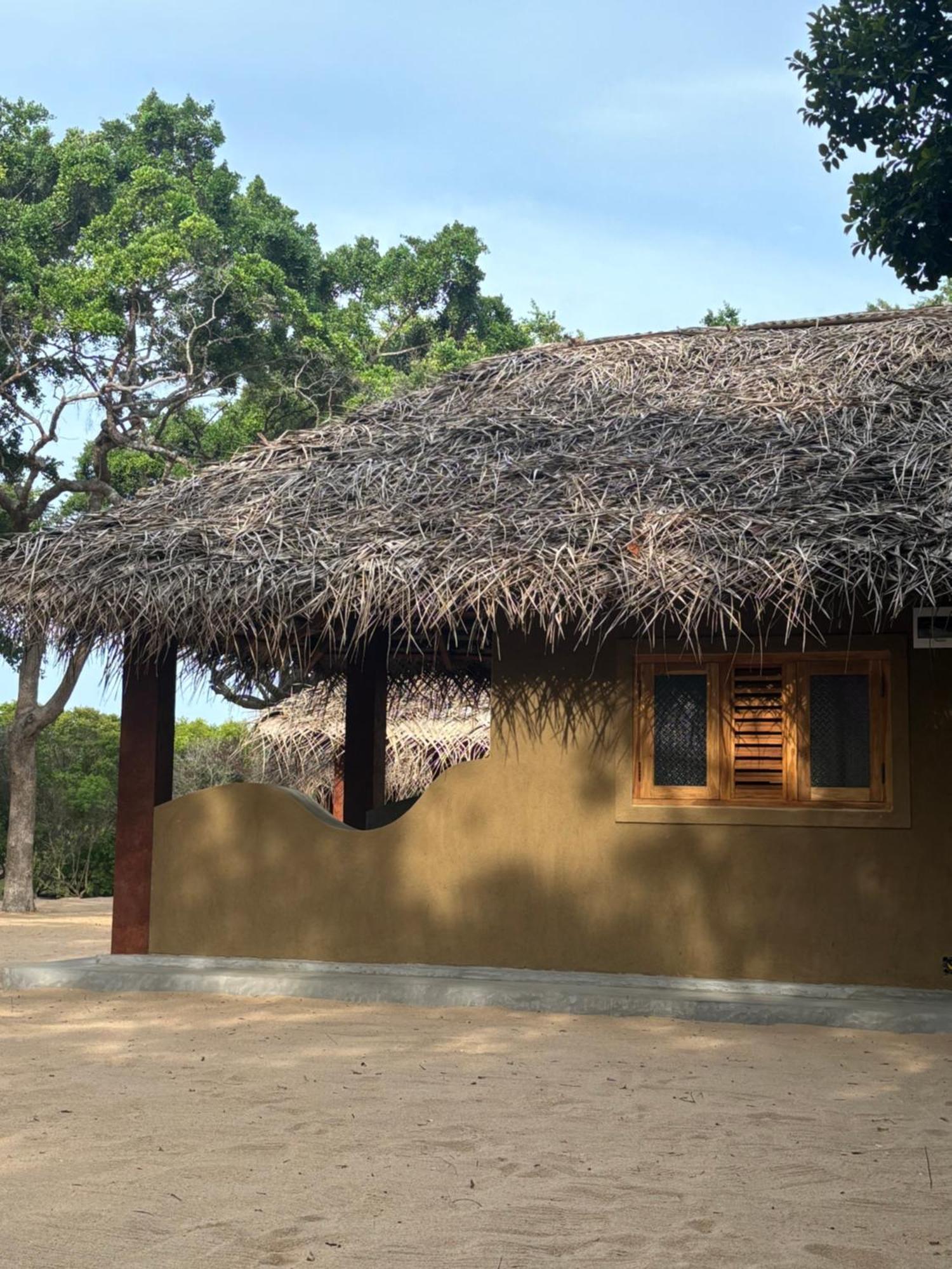 Peanut Farm Surf And Wild Resort - Arugambay アルガムベイ エクステリア 写真