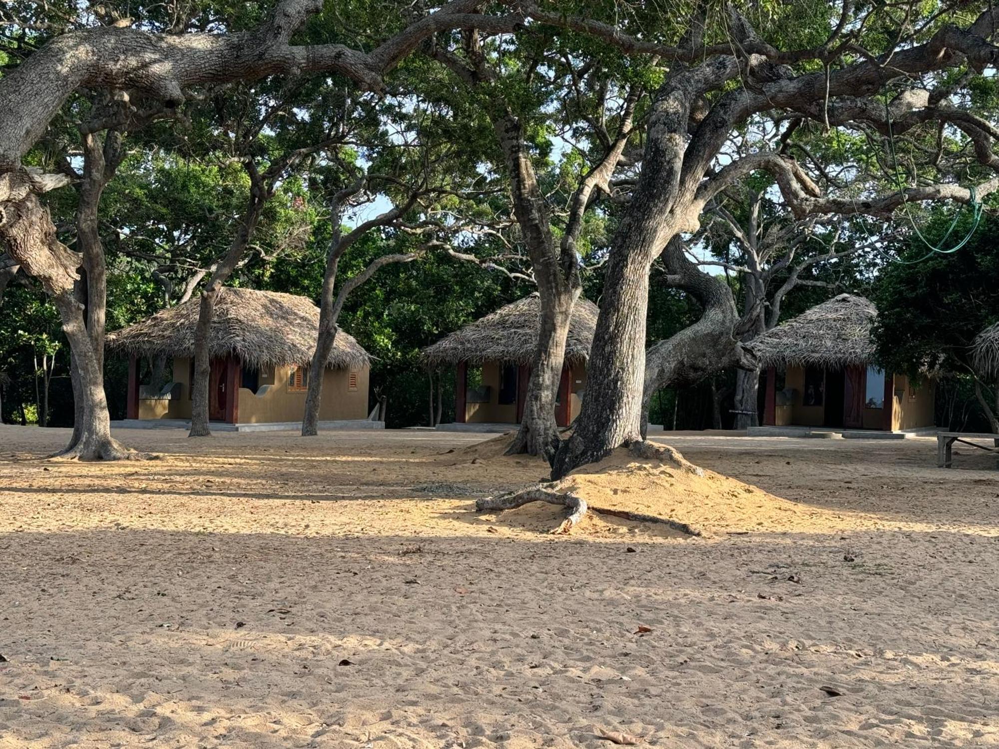 Peanut Farm Surf And Wild Resort - Arugambay アルガムベイ エクステリア 写真