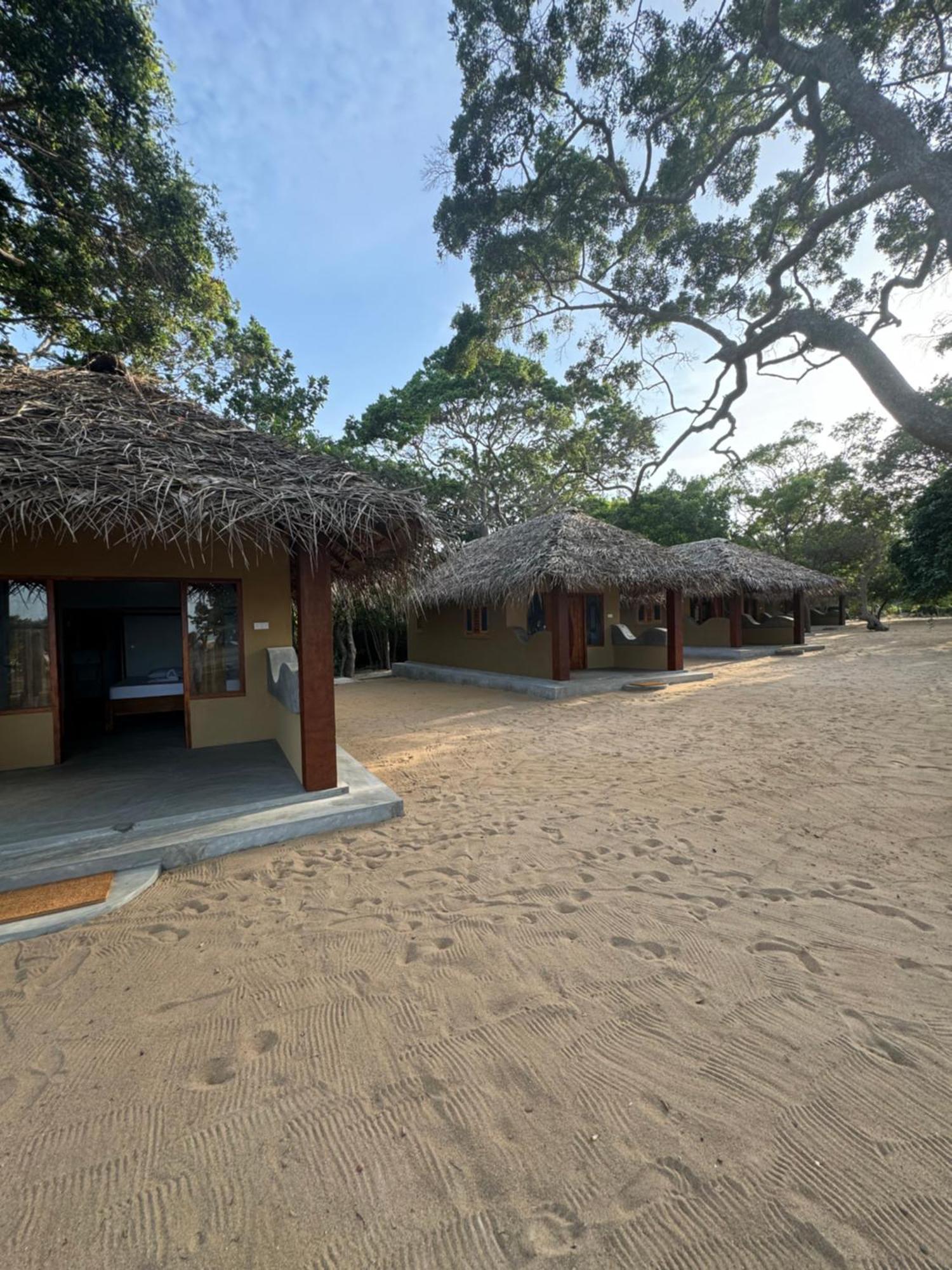 Peanut Farm Surf And Wild Resort - Arugambay アルガムベイ エクステリア 写真