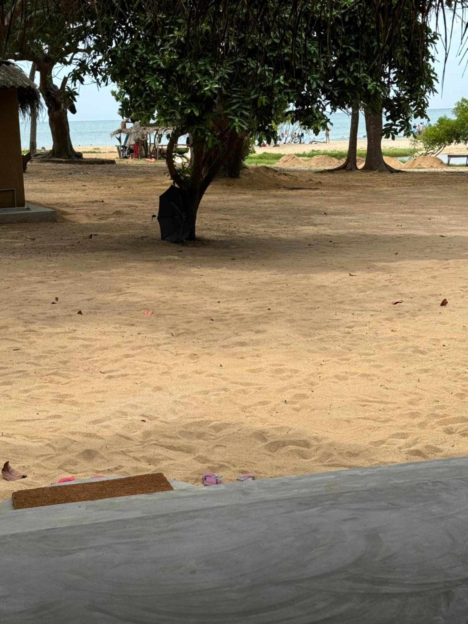 Peanut Farm Surf And Wild Resort - Arugambay アルガムベイ エクステリア 写真